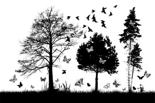 Monochrome landscape with trees and butterflies. Vector illustration