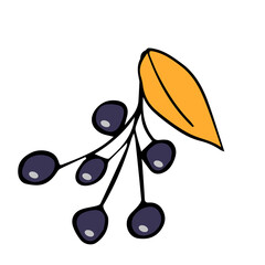 Vector illustration depicting a berry branch, hand drawn in doodle style. Design for decorating a recipe, menu, book page, coloring book, invitation.