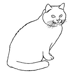Drawing of a cute sitting cat that looks at us with big eyes. Black and white illustration of an animal. Realistic image of an animal. Vector isolated illustration of a character. Drawing. Stock art
