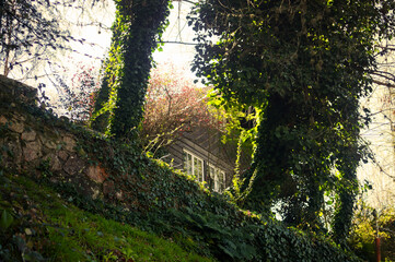 Part of a small wooden cabin hidden in the top of a small hill. Placed in La Cumbrecita, Cordoba, Argentina.