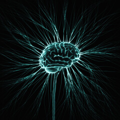 Human Nervous System Brain Neural Network