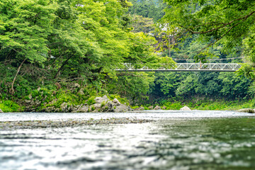 【東京都 多摩川】上流の自然に囲まれた河川