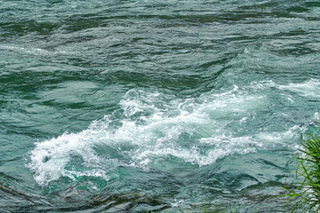 【東京都 多摩川】上流の自然に囲まれた河川
