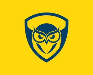 Protection shield with owl head inside