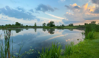 golf course pond marsh lily pads big clouds reflections - obrazy, fototapety, plakaty