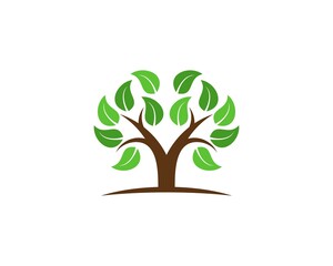 Tree with dense leaves