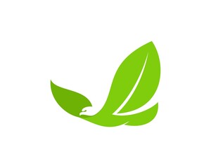 Flying eagle with green leaves