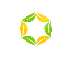 Hexagon from leaf rotation with star inside