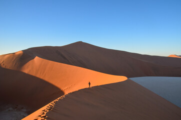 Fototapeta na wymiar Sand dunes in the Namib desert