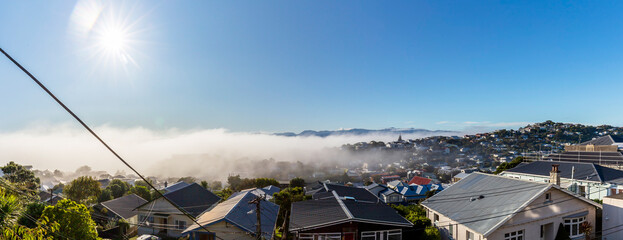 A foggy day in Wellington, New Zealand