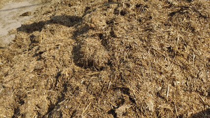 Pile of manure mixed with straw for use as organic fertilizer