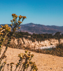 California Coast