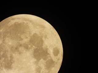 full moon in the night