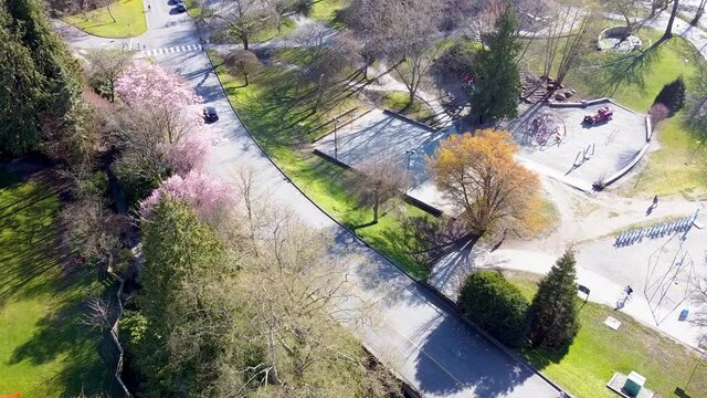 Aerial hold. Road and pathways at Second Beach park. Stanley Park in Vancouver, Canada. During spring season with new growth, evergreens, and cherry blossoms. Physical distancing.