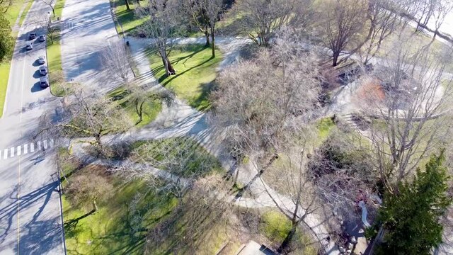 Aerial pan down. Road and pathways at Second Beach park. Stanley Park in Vancouver, Canada. During spring season with new growth, evergreens, and cherry blossoms. Physical distancing.