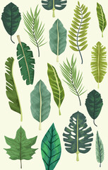 Fototapeta na wymiar tropical leafs botanical background design