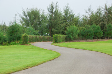 Curvy pathway in golf course