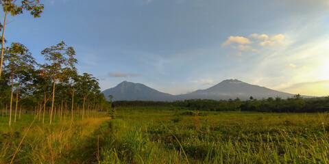 Fototapeta na wymiar Beautiful Sunday morning at Kalibendo Plantation Banyuwangi Indonesia