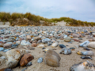 stones in the sand