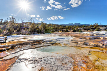 Canary Spring at Mammoth Hot Springs in Yellowstone National Park