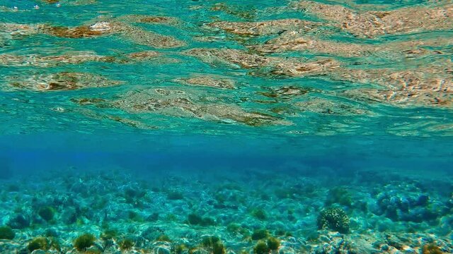 Beautiful, crystal clear waters of the sea - underwater