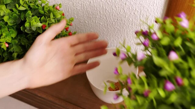 Man putting spare key into flowerpot near entrance