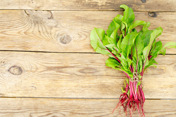 Young beetroot sprouts on wood background. Photo