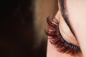 Beautiful macro photography of a woman's eye with extreme makeup of long lashes. Perfect long...