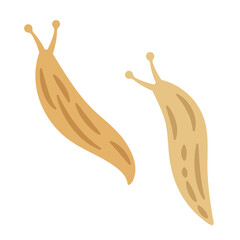 ナメクジのイラストレーション