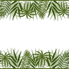 border frame with tropical leaves of monstera, palm and bamboo green on a white background, color vector illustration, design, decoration, print, texture, banner