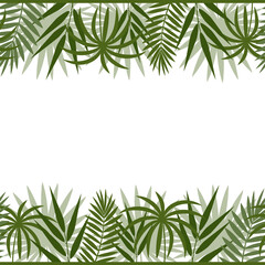 border frame with tropical leaves of monstera, palm and bamboo green on a white background, color vector illustration, design, decoration, print, texture, banner