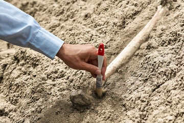paleontologist's hand with brush cleansing fossil bone from sand © Evgeny