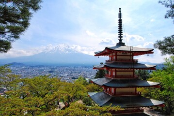 Fototapeta premium Chureito Pagoda and Mt. Fuji in summer, Fujiyoshida, Japan