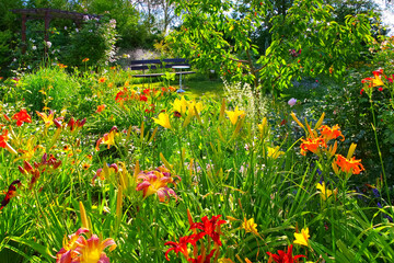 ein blühender Tagliliengarten im Sommer - a garden with many daylily flowers © LianeM
