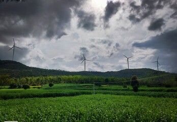 wind turbines in the field