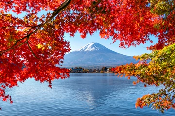 Selbstklebende Fototapeten Rot Lila Fuji Mountain in Autumn Red Maple Leaves Frame at Kawaguchiko Lake, Japan  © iamdoctoregg