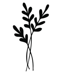 Botanical summer and spring flowers and leaves.
Black and white illustration. Vector.