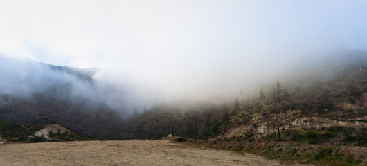 Angeles National Forest, CA on a Foggy Morning