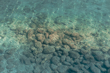 coral reef and sea