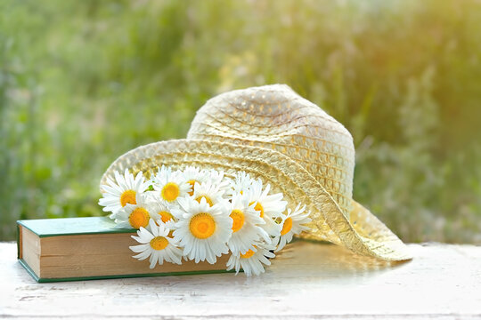 chamomile flowers, old book and braided hat in garden. Summertime season. Rustic landscape with daisy.