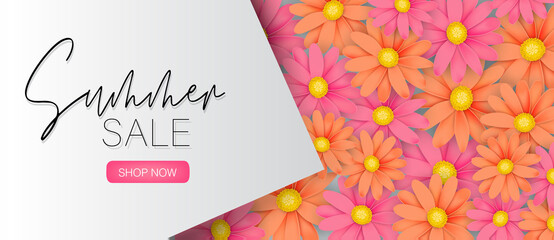 Summer sale banner or header. Realistic flower background- pink and orange daisies. Vector illustration with lettering.