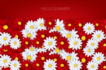 Hello Summer banner. White and red daisy flowers background. Realistic vector illustration with lettering.