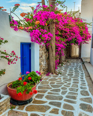 Fototapeta na wymiar Pictursque alley in Naousa Paros greek island with a full blooming bougainvillea !! Whitewashed traditional houses with blue door and flowers all over !!!