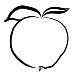 Apple hand drawn vector illustration on white background.