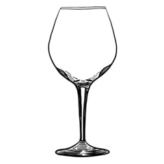 Pinot noir empty glass hand drawn vector illustration isolated on white background 