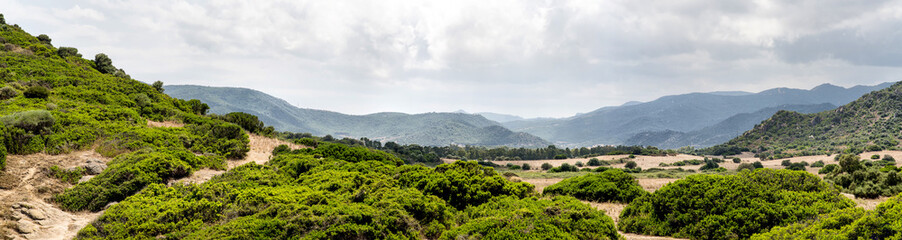 Traditional Sardinian Landscape with Hills, Low Bushes and Dry Yellow Grass.