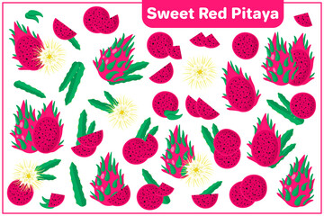 Set of vector cartoon illustrations with Sweet Red Pitaya exotic fruits, flowers and leaves isolated on white background