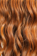 Fototapeta premium Curly red hair as background