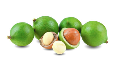 macadamia nuts isolated on white background.