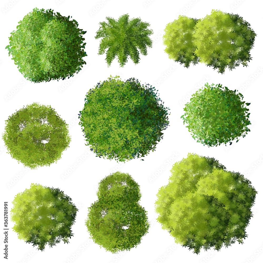 Wall mural set of tree top view for landscape plan and architecture element